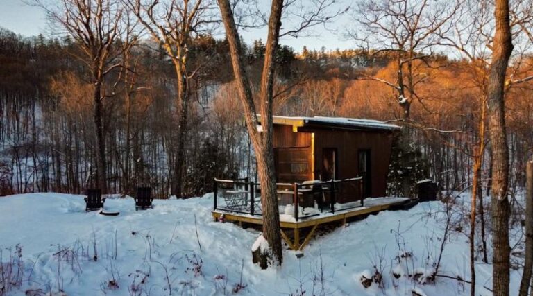 Cabin Rental Agency: Your Guide to Finding the Perfect Cabin Getaway